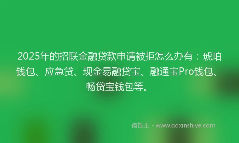 2025年的招联金融贷款申请被拒怎么办有：琥珀钱包、应急贷、现金易融贷宝、融通宝Pro钱包、畅贷宝钱包等。