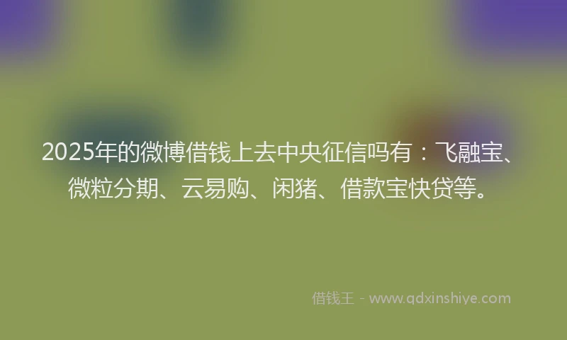 2025年的微博借钱上去中央征信吗有：飞融宝、微粒分期、云易购、闲猪、借款宝快贷等。
