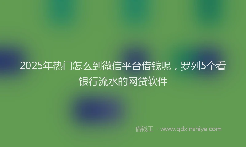 2025年热门怎么到微信平台借钱呢，罗列5个看银行流水的网贷软件