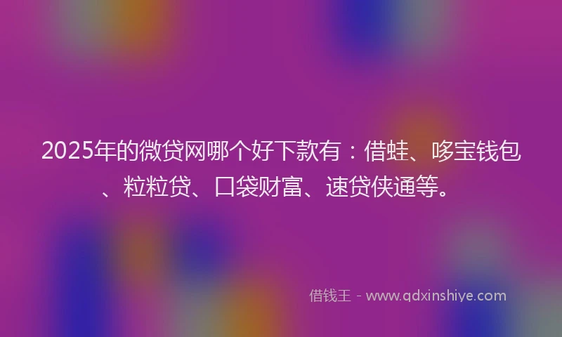 2025年的微贷网哪个好下款有：借蛙、哆宝钱包、粒粒贷、口袋财富、速贷侠通等。