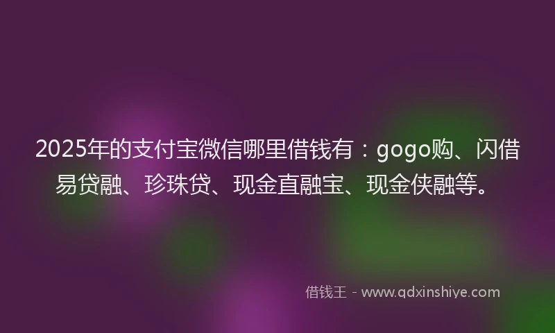 2025年的支付宝微信哪里借钱有：gogo购、闪借易贷融、珍珠贷、现金直融宝、现金侠融等。