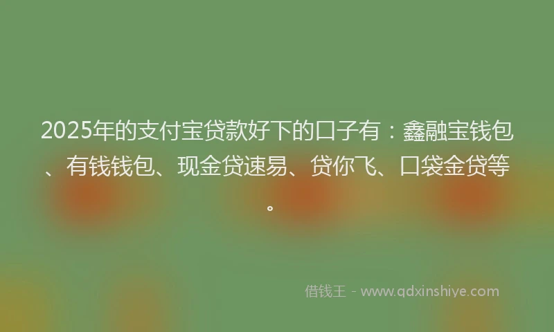 2025年的支付宝贷款好下的口子有：鑫融宝钱包、有钱钱包、现金贷速易、贷你飞、口袋金贷等。