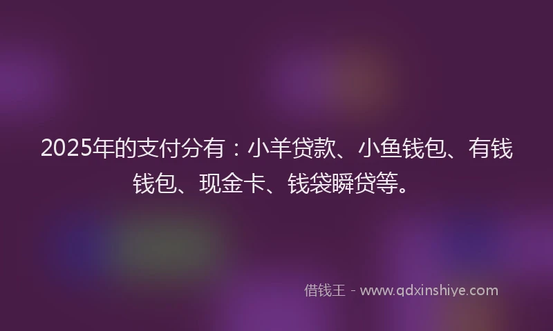 2025年的支付分有：小羊贷款、小鱼钱包、有钱钱包、现金卡、钱袋瞬贷等。
