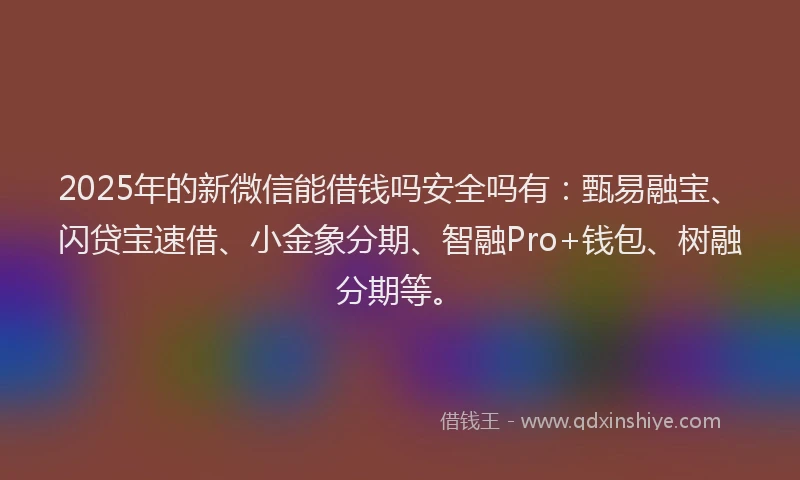 2025年的新微信能借钱吗安全吗有：甄易融宝、闪贷宝速借、小金象分期、智融Pro+钱包、树融分期等。