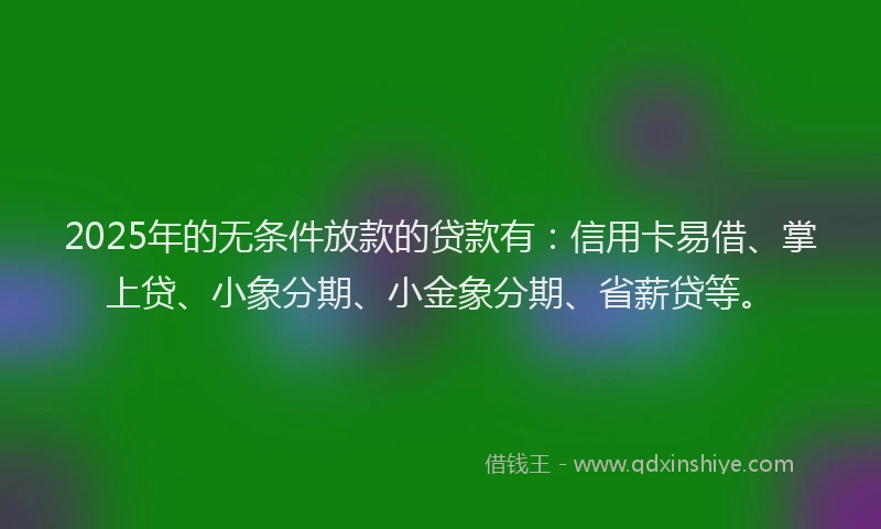 2025年的无条件放款的贷款有：信用卡易借、掌上贷、小象分期、小金象分期、省薪贷等。
