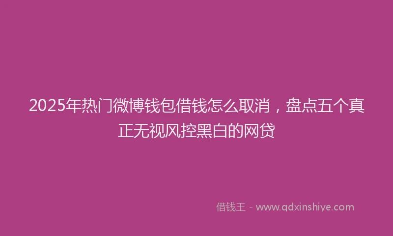 2025年热门微博钱包借钱怎么取消，盘点五个真正无视风控黑白的网贷