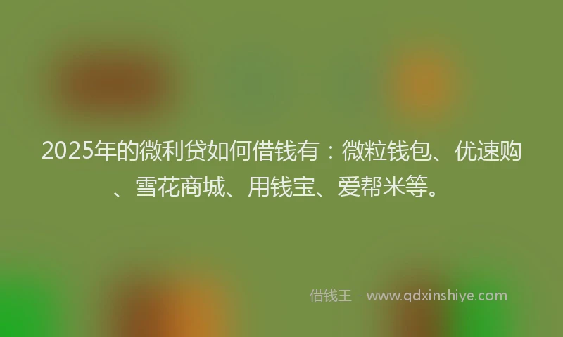 2025年的微利贷如何借钱有：微粒钱包、优速购、雪花商城、用钱宝、爱帮米等。