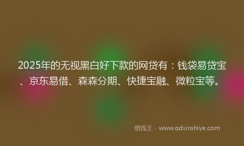 2025年的无视黑白好下款的网贷有：钱袋易贷宝、京东易借、森森分期、快捷宝融、微粒宝等。