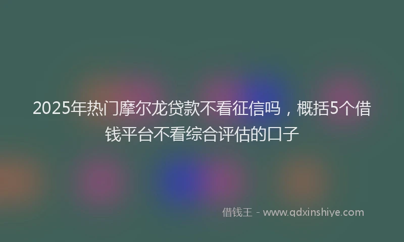 2025年热门摩尔龙贷款不看征信吗，概括5个借钱平台不看综合评估的口子