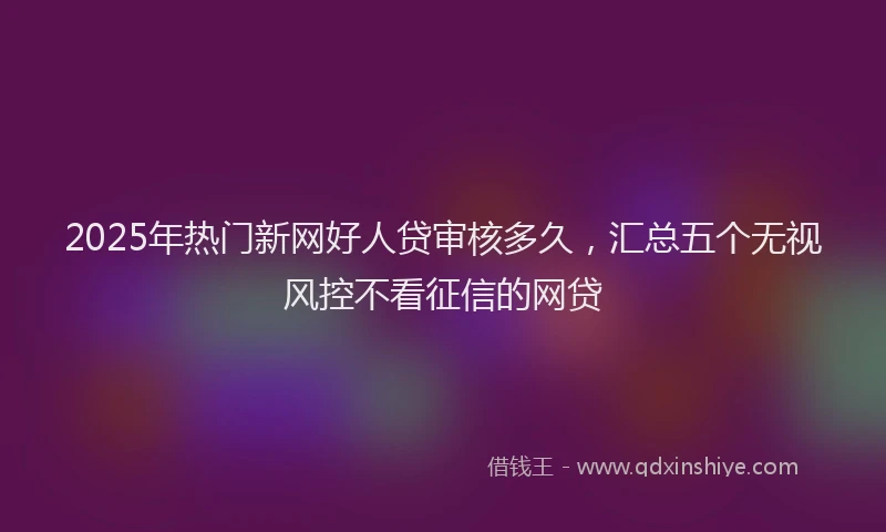 2025年热门新网好人贷审核多久，汇总五个无视风控不看征信的网贷