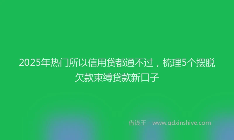 2025年热门所以信用贷都通不过，梳理5个摆脱欠款束缚贷款新口子