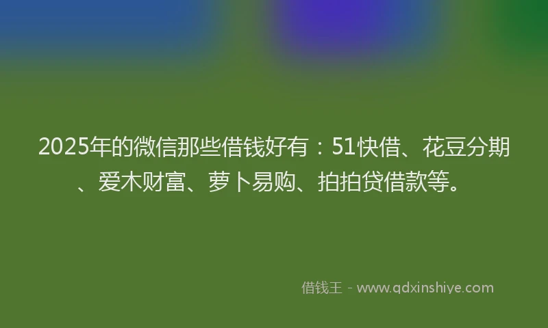 2025年的微信那些借钱好有：51快借、花豆分期、爱木财富、萝卜易购、拍拍贷借款等。