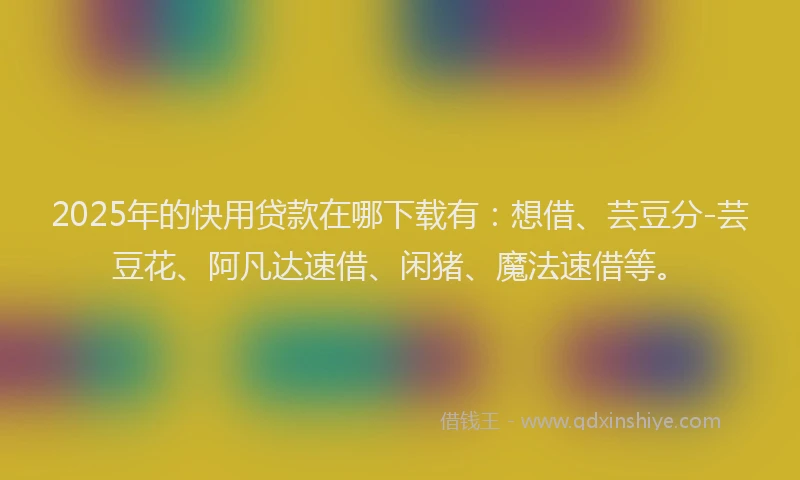 2025年的快用贷款在哪下载有：想借、芸豆分-芸豆花、阿凡达速借、闲猪、魔法速借等。