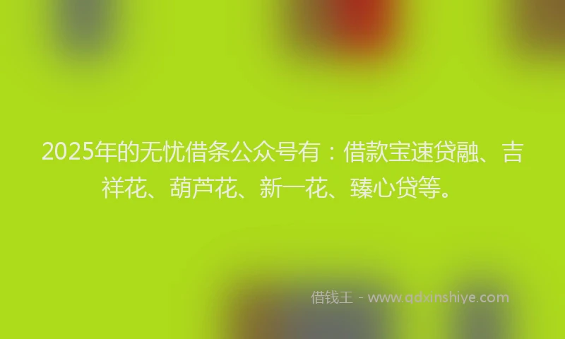 2025年的无忧借条公众号有：借款宝速贷融、吉祥花、葫芦花、新一花、臻心贷等。