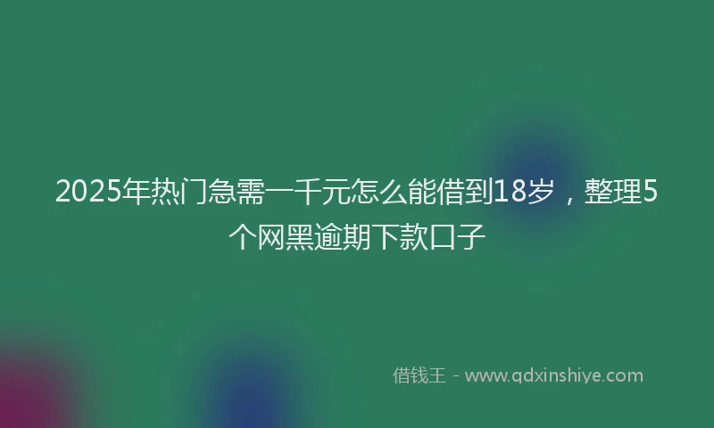 2025年热门急需一千元怎么能借到18岁，整理5个网黑逾期下款口子
