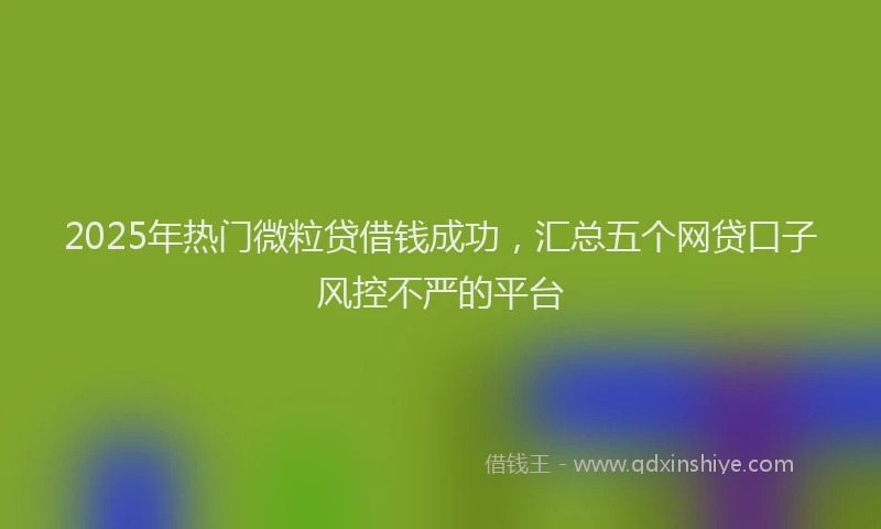 2025年热门微粒贷借钱成功，汇总五个网贷口子风控不严的平台