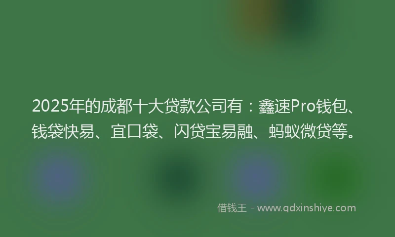 2025年的成都十大贷款公司有：鑫速Pro钱包、钱袋快易、宜口袋、闪贷宝易融、蚂蚁微贷等。