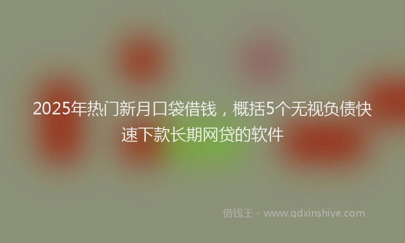 2025年热门新月口袋借钱，概括5个无视负债快速下款长期网贷的软件