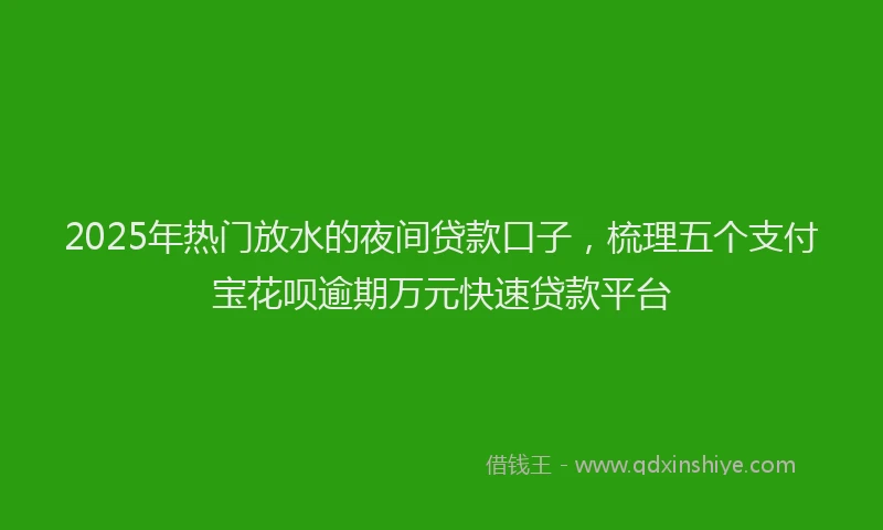 2025年热门放水的夜间贷款口子，梳理五个支付宝花呗逾期万元快速贷款平台