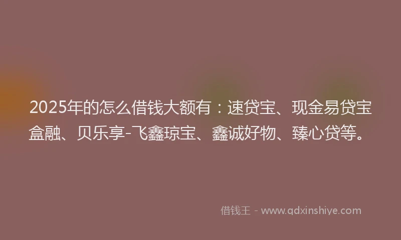 2025年的怎么借钱大额有：速贷宝、现金易贷宝盒融、贝乐享-飞鑫琼宝、鑫诚好物、臻心贷等。