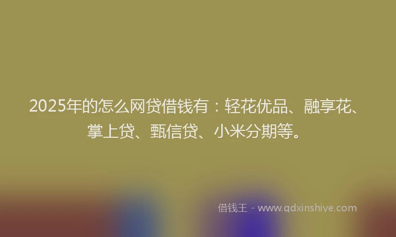 2025年的怎么网贷借钱有：轻花优品、融享花、掌上贷、甄信贷、小米分期等。