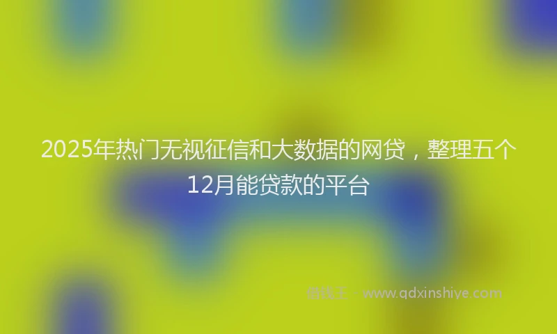 2025年热门无视征信和大数据的网贷，整理五个12月能贷款的平台