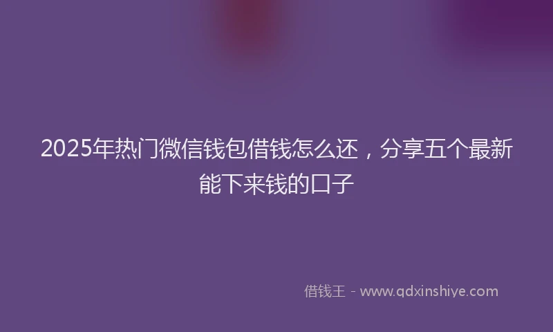 2025年热门微信钱包借钱怎么还，分享五个最新能下来钱的口子