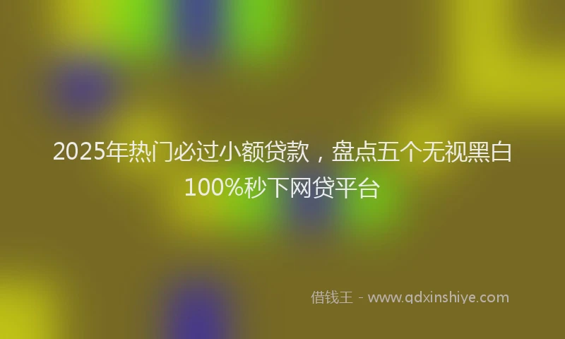 2025年热门必过小额贷款，盘点五个无视黑白100%秒下网贷平台
