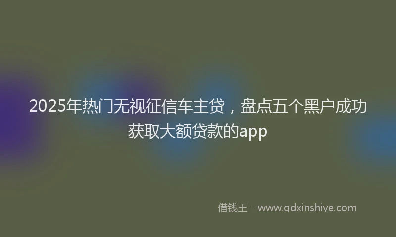 2025年热门无视征信车主贷，盘点五个黑户成功获取大额贷款的app