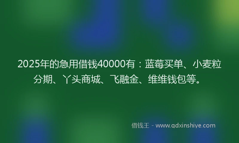 2025年的急用借钱40000有：蓝莓买单、小麦粒分期、丫头商城、飞融金、维维钱包等。
