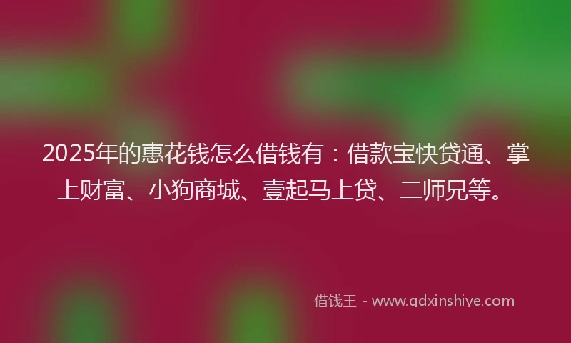 2025年的惠花钱怎么借钱有：借款宝快贷通、掌上财富、小狗商城、壹起马上贷、二师兄等。
