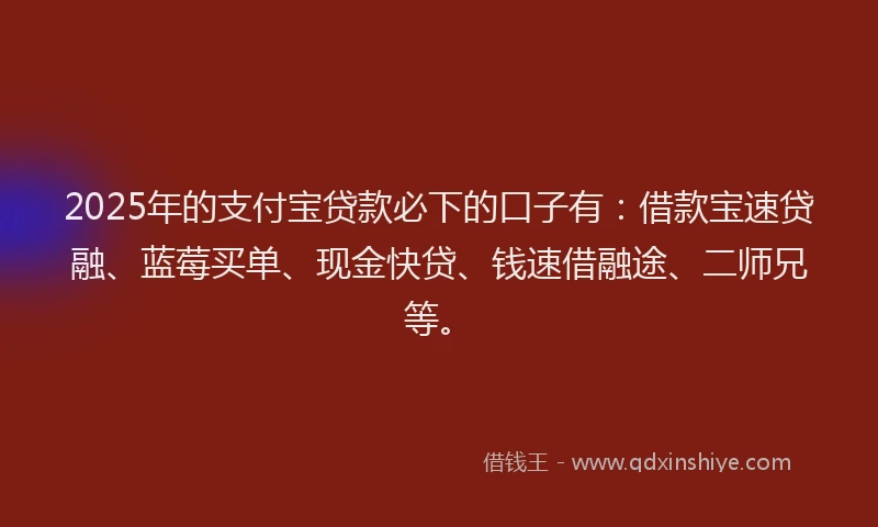 2025年的支付宝贷款必下的口子有：借款宝速贷融、蓝莓买单、现金快贷、钱速借融途、二师兄等。