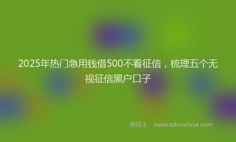 2025年热门急用钱借500不看征信，梳理五个无视征信黑户口子