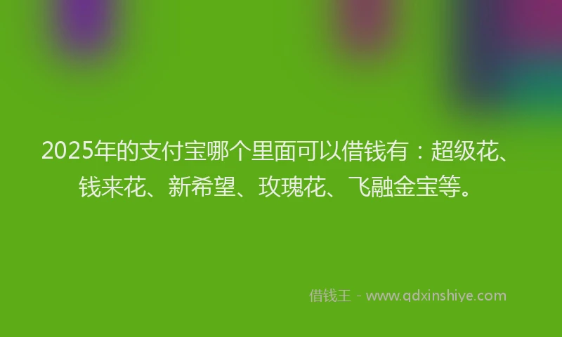 2025年的支付宝哪个里面可以借钱有：超级花、钱来花、新希望、玫瑰花、飞融金宝等。