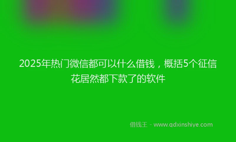 2025年热门微信都可以什么借钱，概括5个征信花居然都下款了的软件