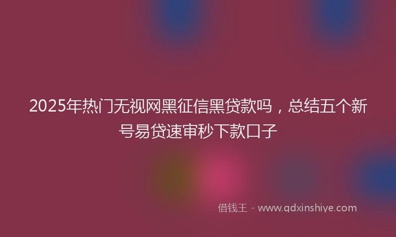 2025年热门无视网黑征信黑贷款吗，总结五个新号易贷速审秒下款口子