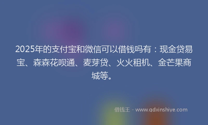 2025年的支付宝和微信可以借钱吗有：现金贷易宝、森森花呗通、麦芽贷、火火租机、金芒果商城等。