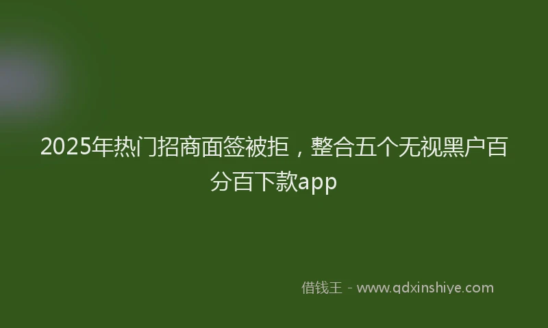 2025年热门招商面签被拒，整合五个无视黑户百分百下款app
