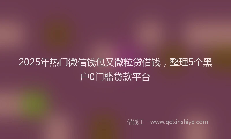 2025年热门微信钱包又微粒贷借钱，整理5个黑户0门槛贷款平台