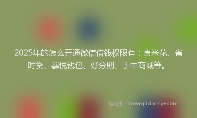2025年的怎么开通微信借钱权限有：喜米花、省时贷、鑫悦钱包、好分期、手中商城等。