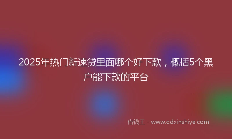 2025年热门新速贷里面哪个好下款，概括5个黑户能下款的平台
