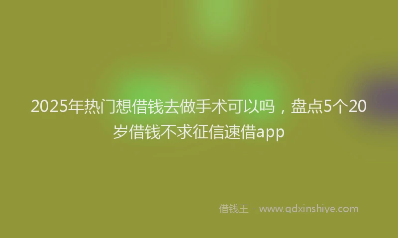 2025年热门想借钱去做手术可以吗，盘点5个20岁借钱不求征信速借app