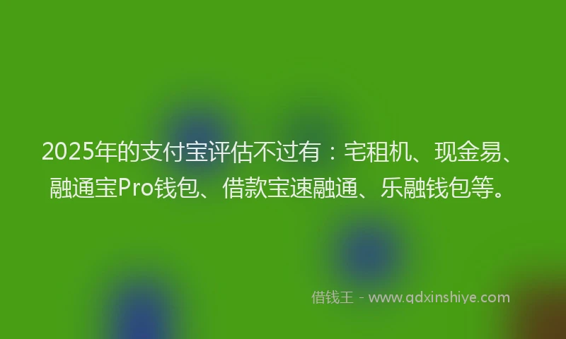 2025年的支付宝评估不过有：宅租机、现金易、融通宝Pro钱包、借款宝速融通、乐融钱包等。