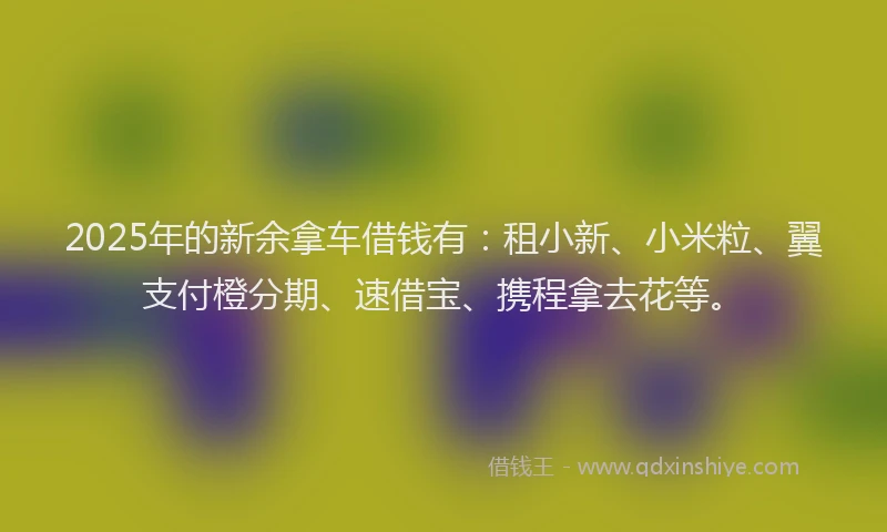 2025年的新余拿车借钱有：租小新、小米粒、翼支付橙分期、速借宝、携程拿去花等。