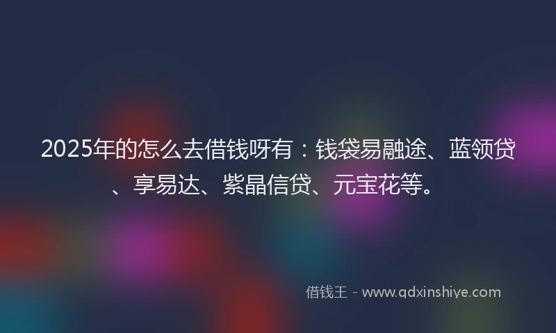2025年的怎么去借钱呀有：钱袋易融途、蓝领贷、享易达、紫晶信贷、元宝花等。