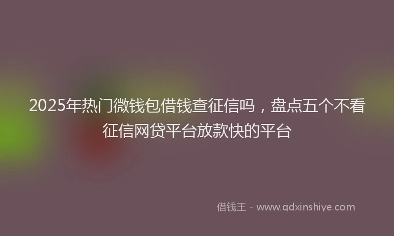 2025年热门微钱包借钱查征信吗，盘点五个不看征信网贷平台放款快的平台