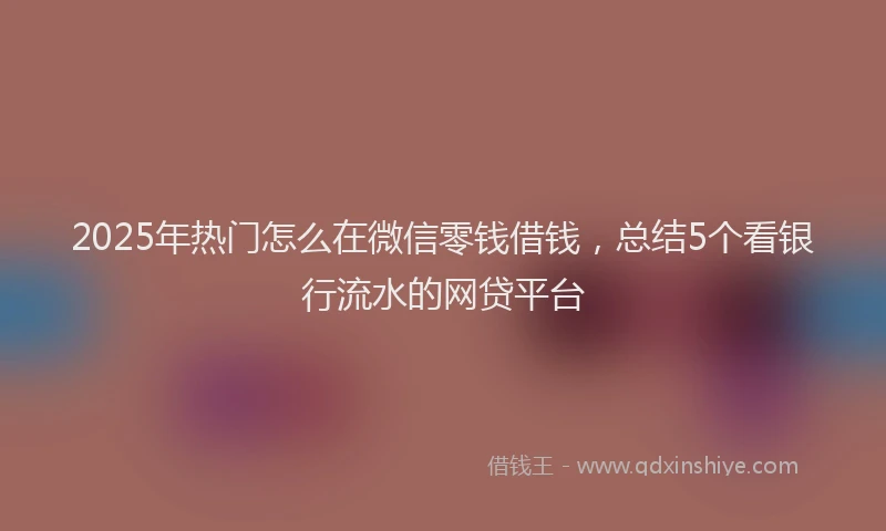 2025年热门怎么在微信零钱借钱，总结5个看银行流水的网贷平台