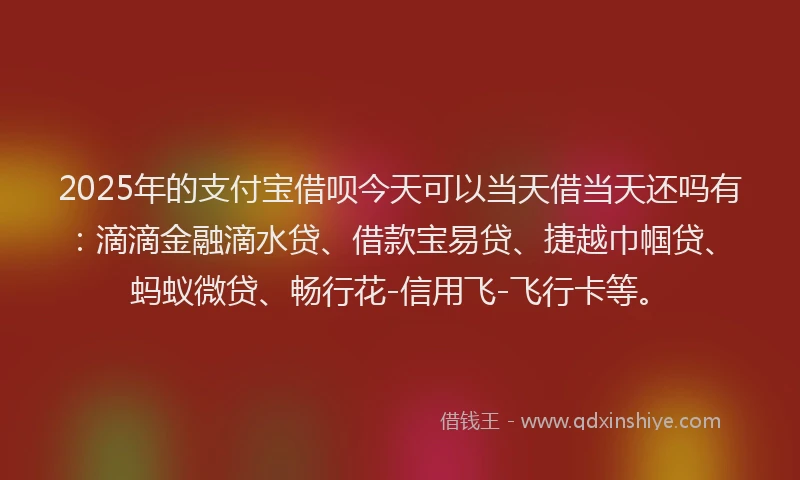 2025年的支付宝借呗今天可以当天借当天还吗有：滴滴金融滴水贷、借款宝易贷、捷越巾帼贷、蚂蚁微贷、畅行花-信用飞-飞行卡等。