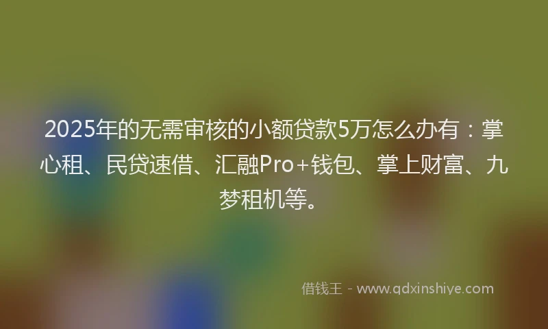 2025年的无需审核的小额贷款5万怎么办有：掌心租、民贷速借、汇融Pro+钱包、掌上财富、九梦租机等。