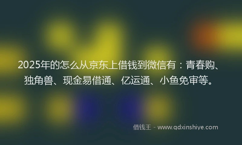2025年的怎么从京东上借钱到微信有：青春购、独角兽、现金易借通、亿运通、小鱼免审等。